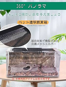 レプタイルボックス 6個 Amazon | レプタイルボックス | SANKO(三晃商会) | 飼育ケース