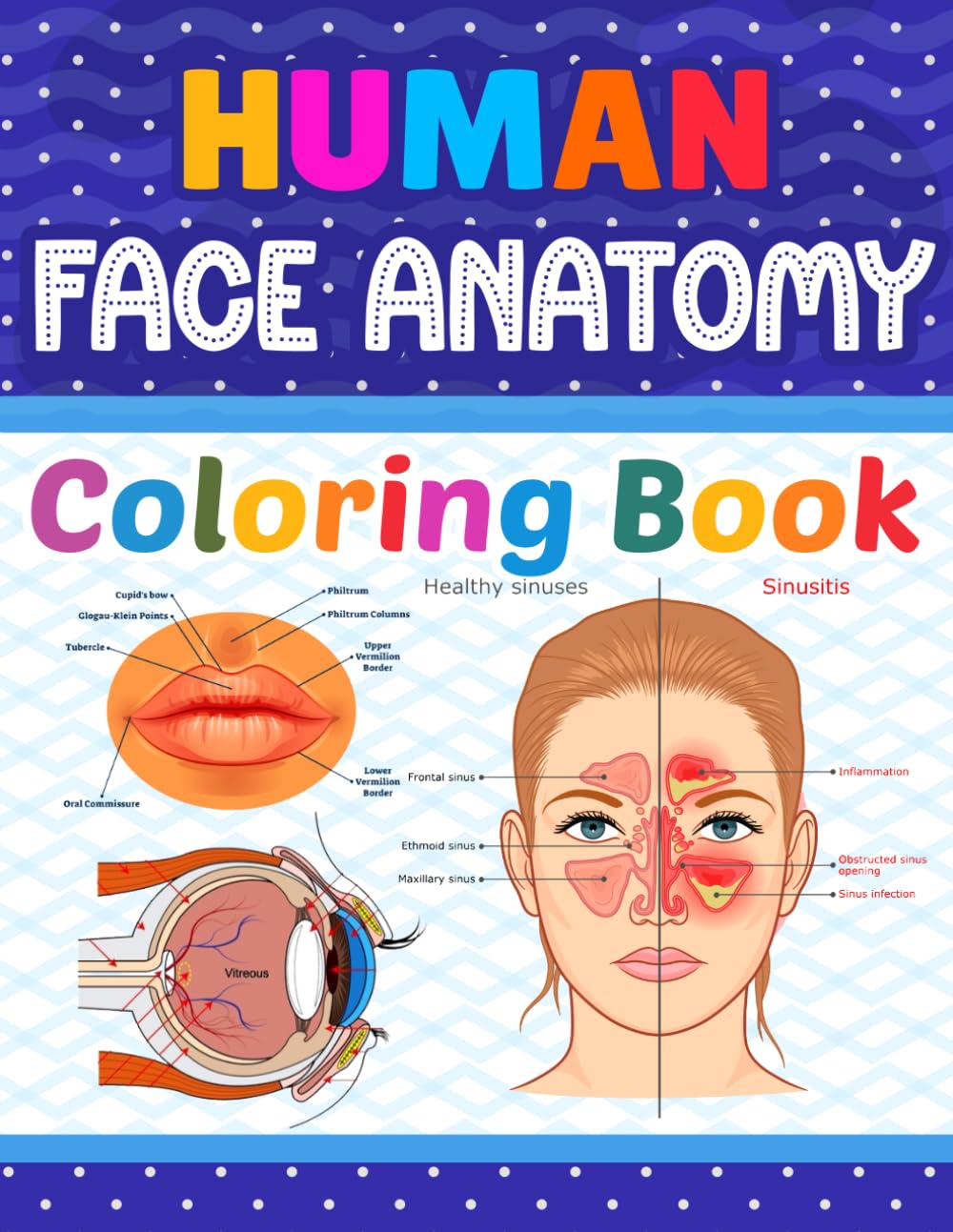 Human Face Anatomy Coloring Book: Learn The Human Face Anatomy in a Fun and Easy Way. It Will Be Great For Medical Students and Teachers To Learn Human Face Anatomy Easily.