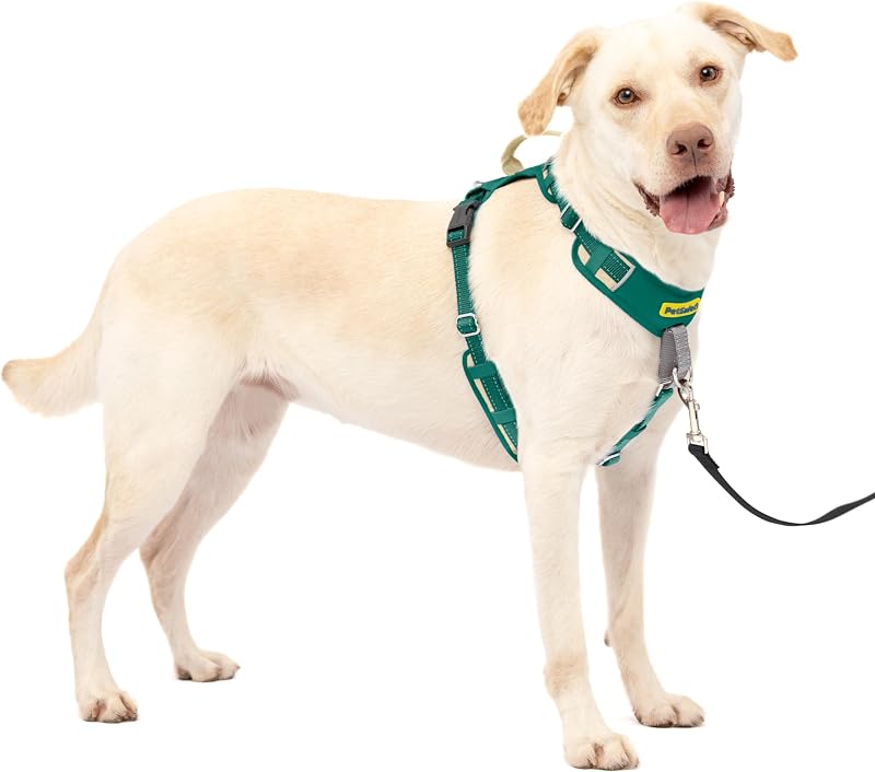 Peitoral para Cães Tipo Cabresto com Controle Antipuxão PetSafe Easy Walk Comfort Verde, Grande