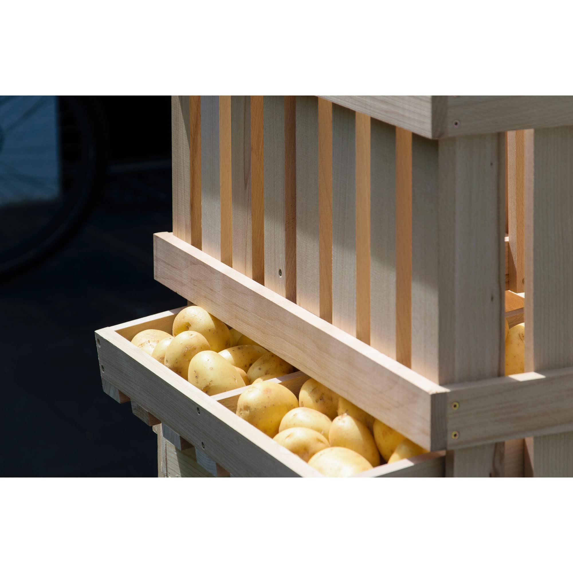 dobar® green label 29023FSCe Premium Kartoffelkiste | Kartoffelhorde mit 2 Abteilen| Obstkiste aus Massivholz | Vorratskiste für Obst/Gemüse | mit Kippfach | Buchenholz | 60 x 40 x 40 cm | Natur