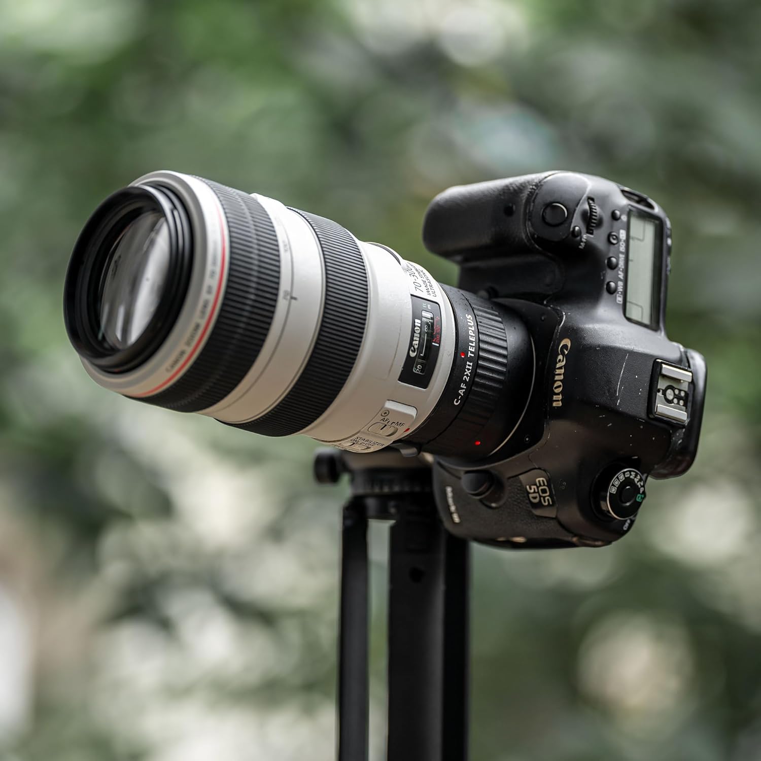 Teleconverter attached to a Canon L-series lens and Canon 5D camera