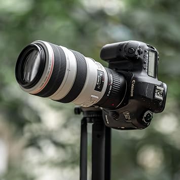 VILTROX C-AF 2X II Auto Focus 2.0X Teleconverter Extender Converter for Canon EF Mount Telephoto Lens 135mm f/2L,200mm,300mm,400mm,600mm,70-200mm,100-400mm and DSLR Camera 5DII 80D 760D 7D