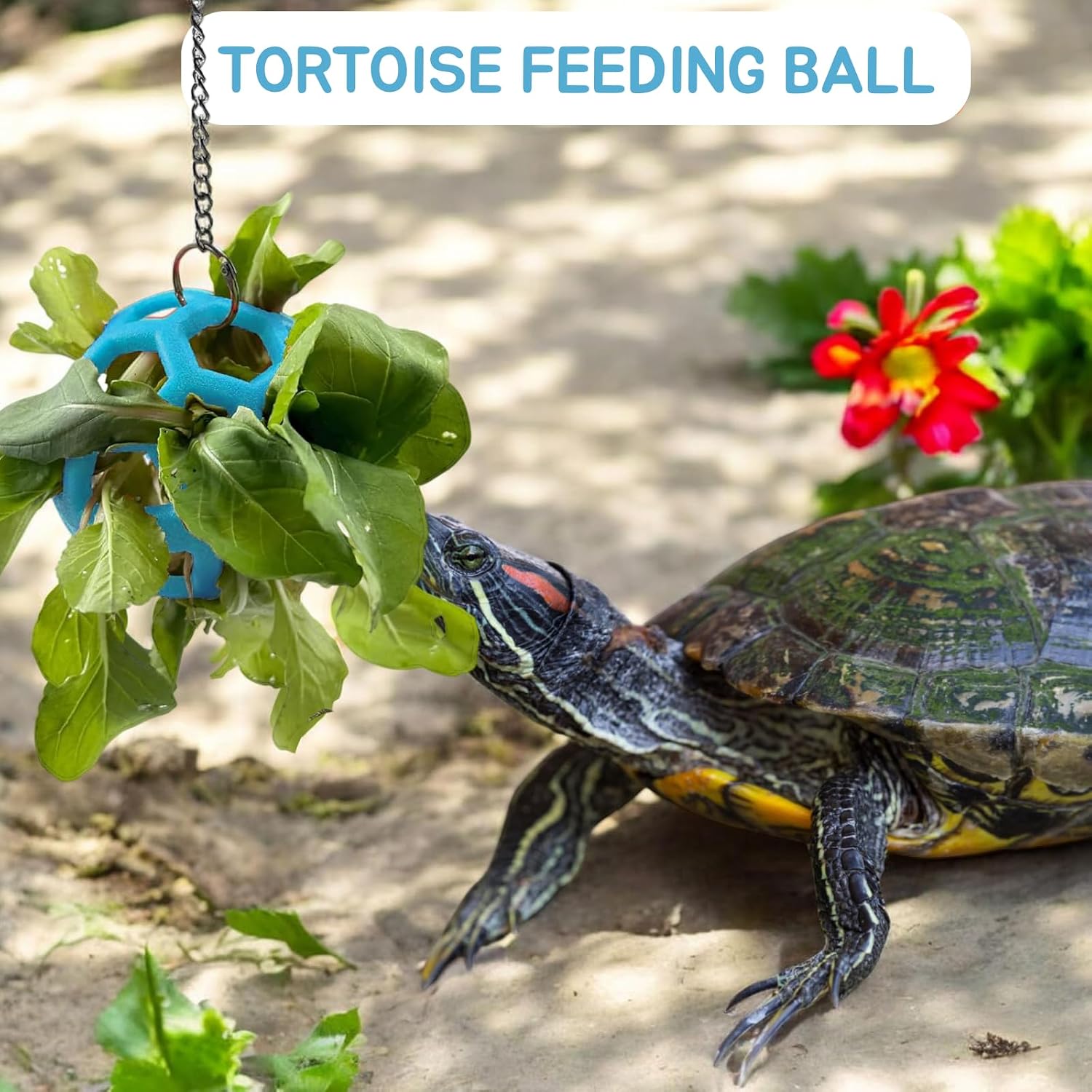 2 Pcs Tortoise Feeder Ball, Hanging Hay Feeder for Small Animals with Chain | Tortoise Foraging Toy, Enrichment Feeding Ball for Pet Tortoise