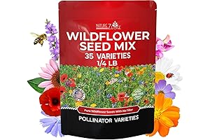 Super Value 1/4 Pound Wildflower Seed Mix - 35 Varieties Including Perennials!