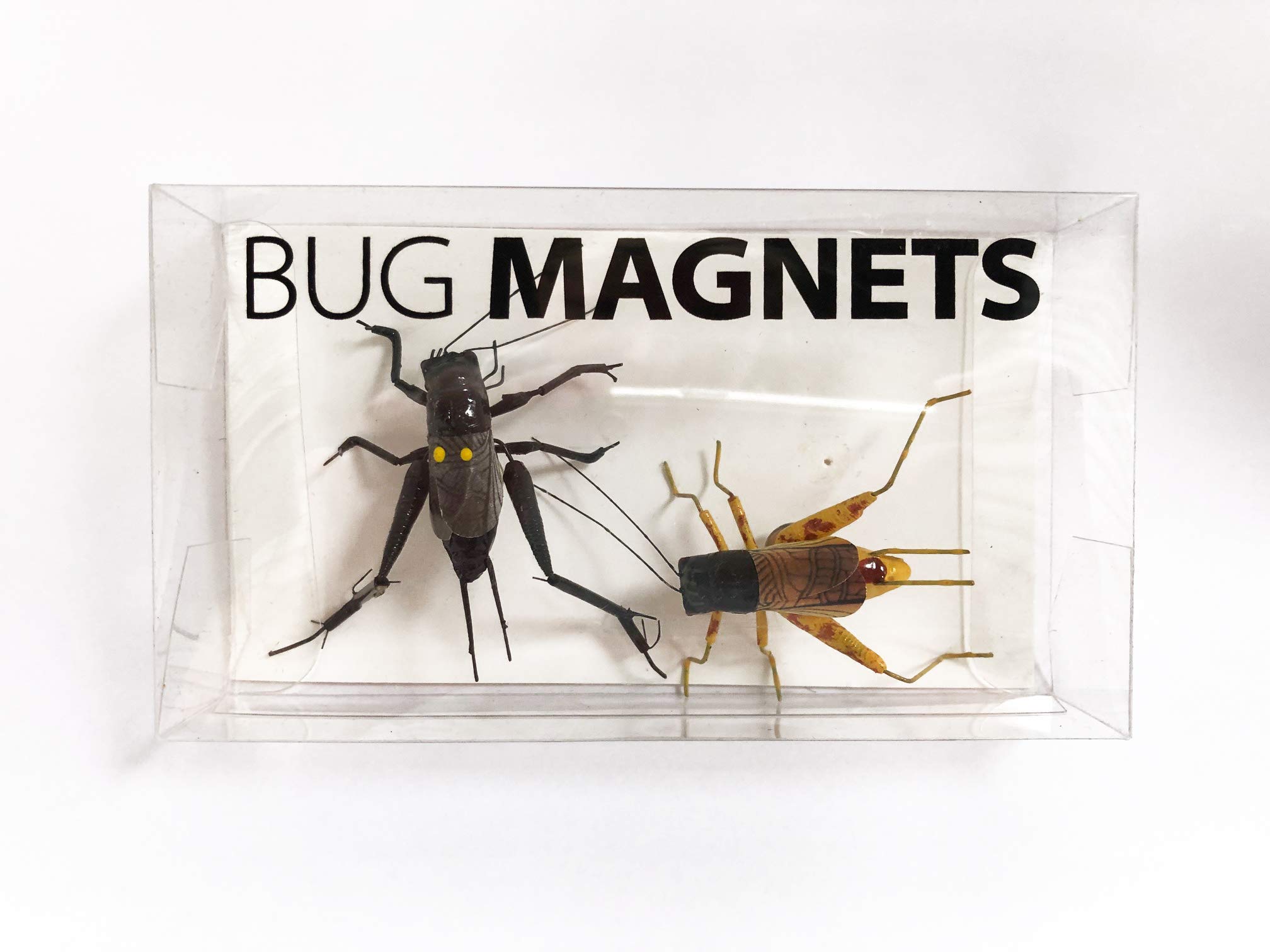 Bugs ubicaciondepersonas.cdmx.gob.mx