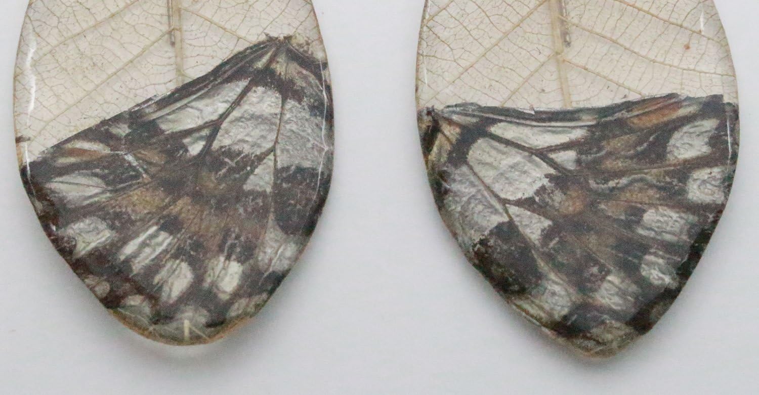 Real Butterfly Wing Earrings - Natural, Uniques, Drop, Dangle, Handmade Jewelry