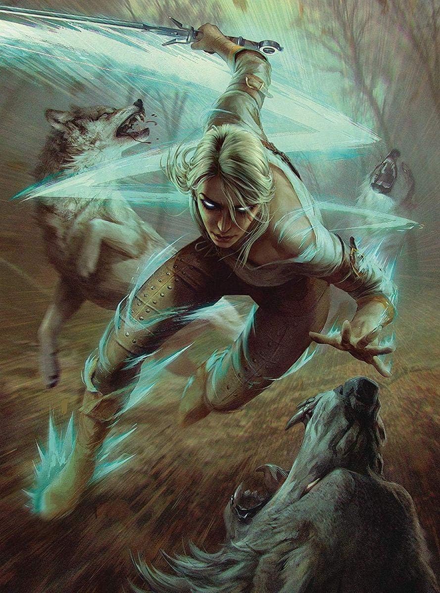 DARK HORSE Witcher 3 The Wild Hunt 3003-770 Puzzle, Various