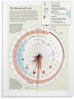 The Menstrual Cycle Poster Fertility Preparation Guide Female Health (6) Canvas Painting for Living Room Bedroom Decor 24x32inch(60x80cm) Unframe-style