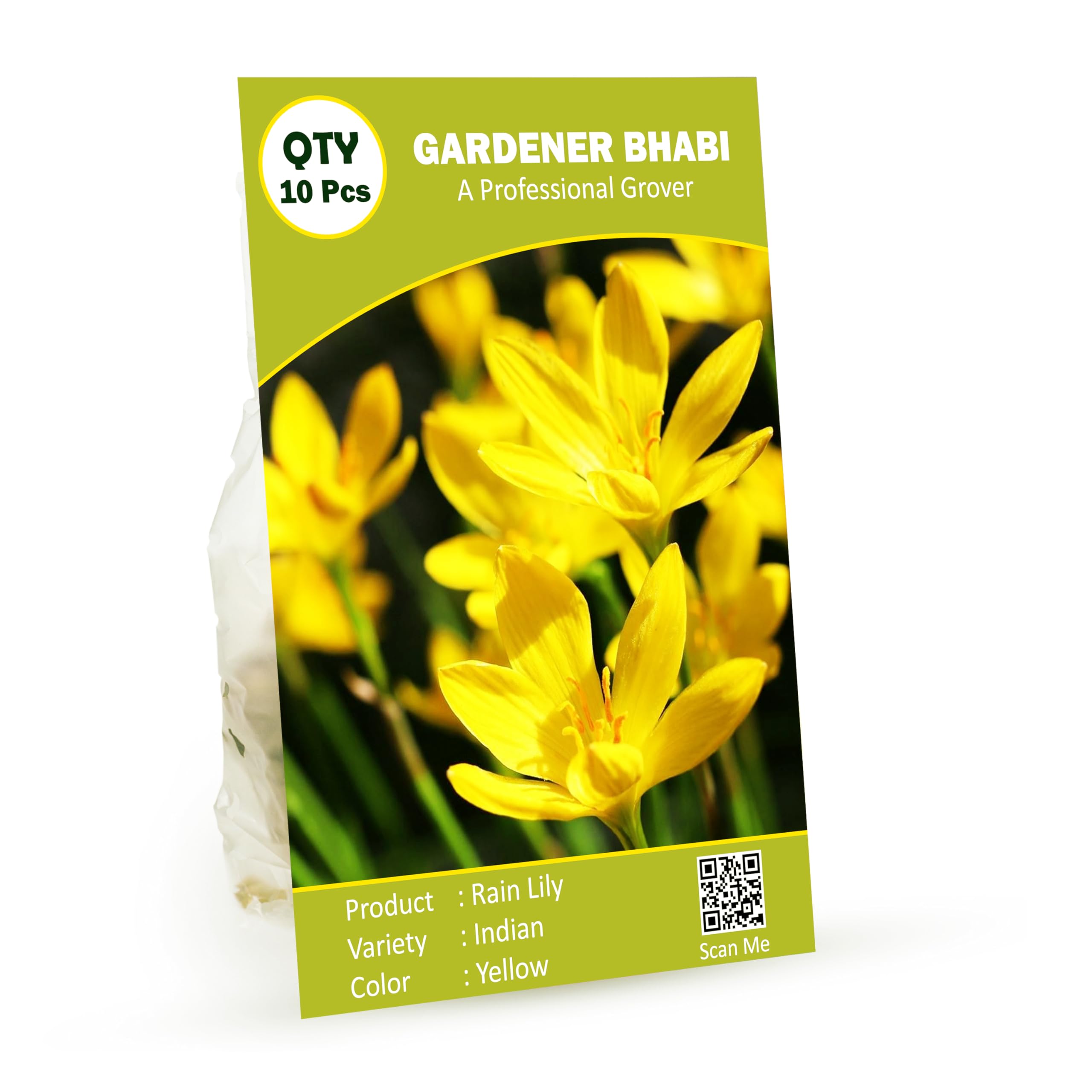 Gardener Bhabi Rain Lily Yellow Flower Bulbs Pack of 10 Pcs (B0CHR2YZHC) Amazon Price History, Amazon Price Tracker
