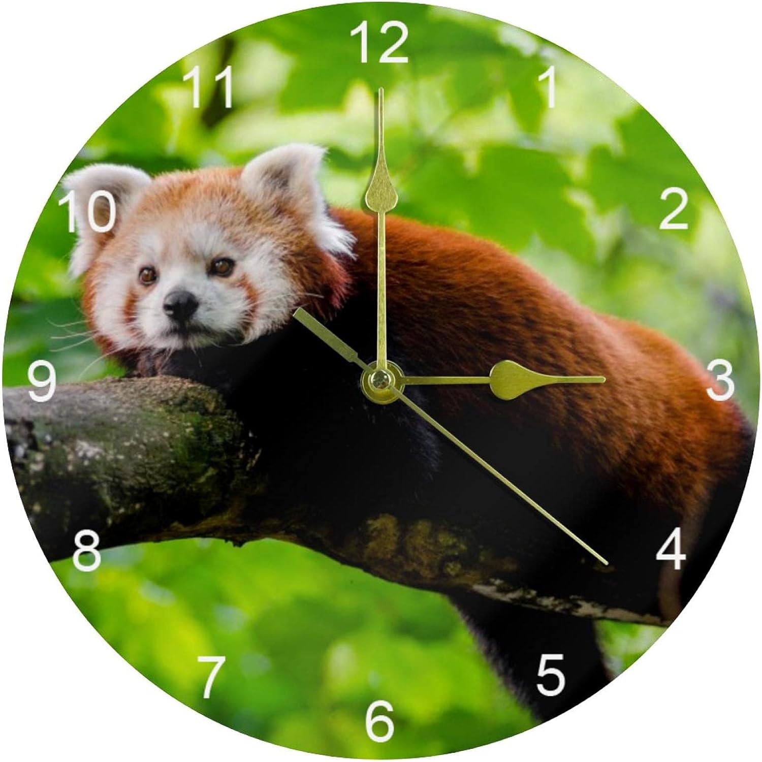 LORVIES Forest Red Panda Silent Non Ticking Acrylic Decorative 10 Inch Round Clock for Home Office School