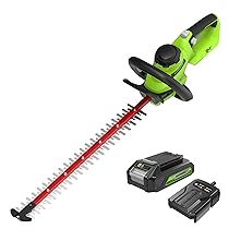 Greenworks Tagliasiepi a Batteria 24 V G24HT56II, Lama Doppia Azione da 56 cm, Taglia Rami e Steli fino a 25.4 mm di Spessore e 3000 SPM con Batteria 2 Ah & Caricabatterie