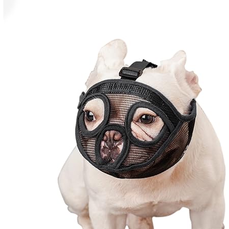 muzzle for a french bulldog