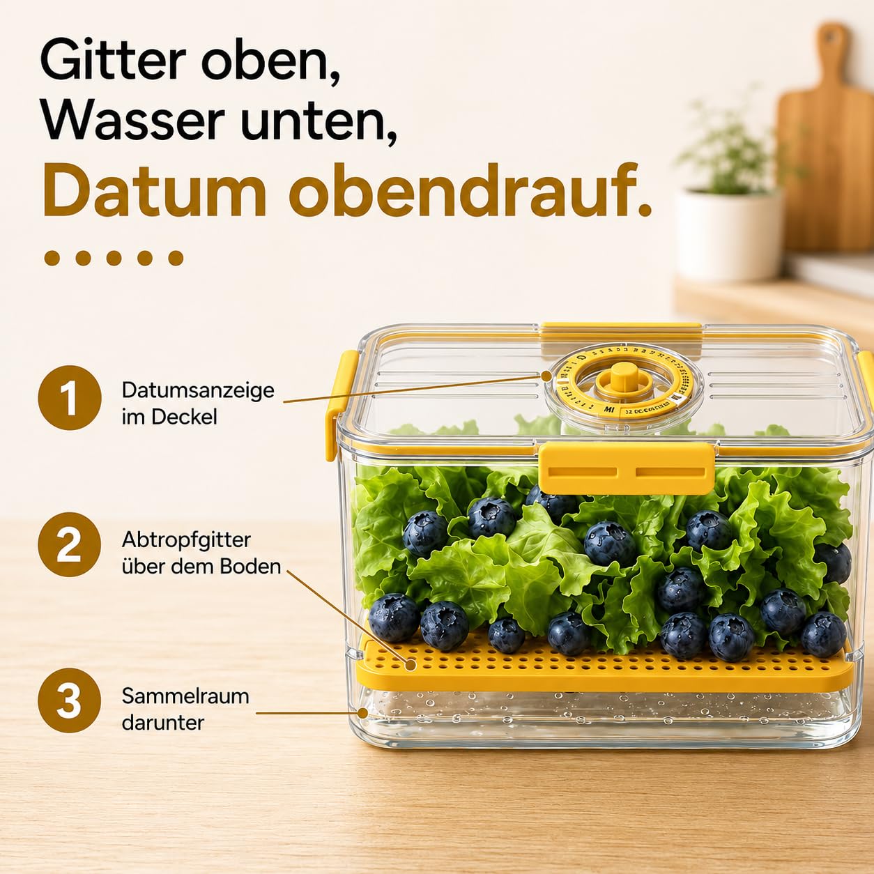 GiDeli Frischhaltedose mit Deckel Luftdicht, Kühlschrank Organizer-Set