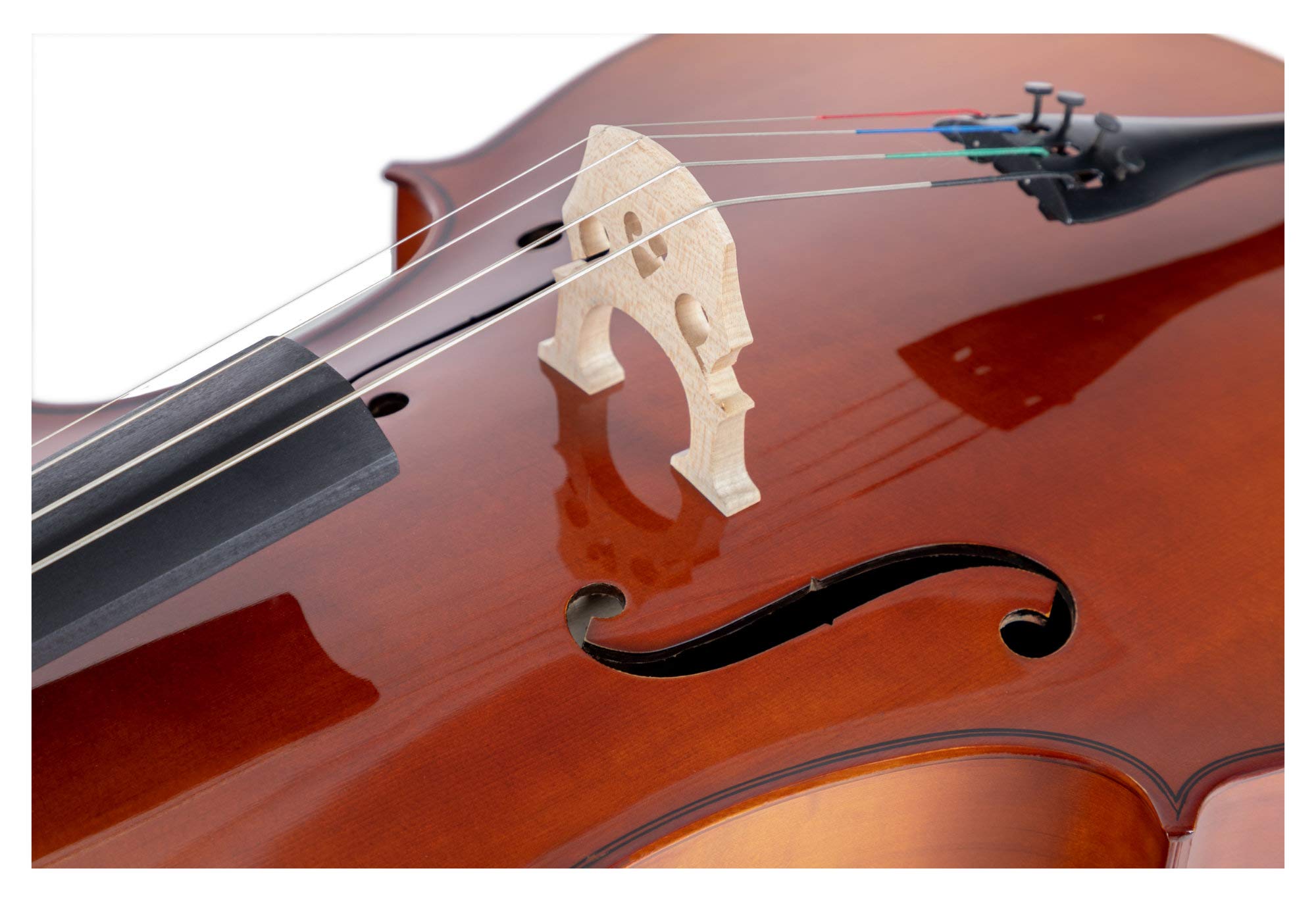 Classic Cantabile Student Violoncello 4/4: tavola in abete, fondo, fasce, manico e ponticello in acero, tastiera in tiglio tinto, meccaniche e capotasto in acero annerito. Include arco e custodia.