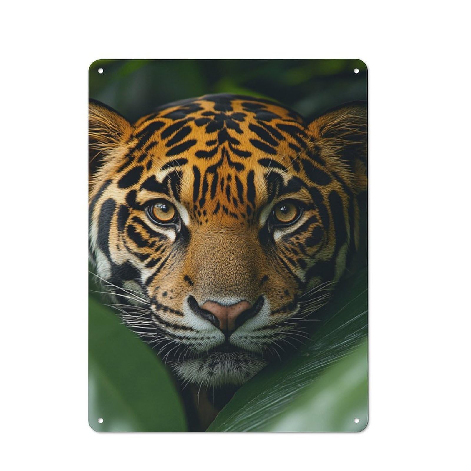 Jaguar Peering Through Lush Jungle Leaves Printed Metal Sign 40x30cm for Living Room Wall, for Kitchen, Dining Room And Home Bar Wall Decor