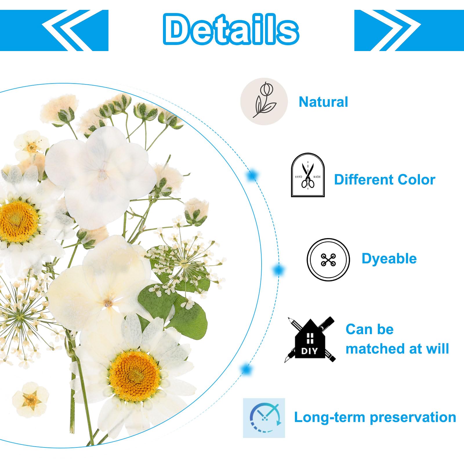 PATIKIL Dried Pressed Flowers - Image 3