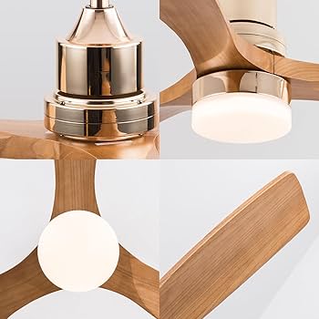 Amazon.com: Modern Indoor Ceiling Fan with Light Remote