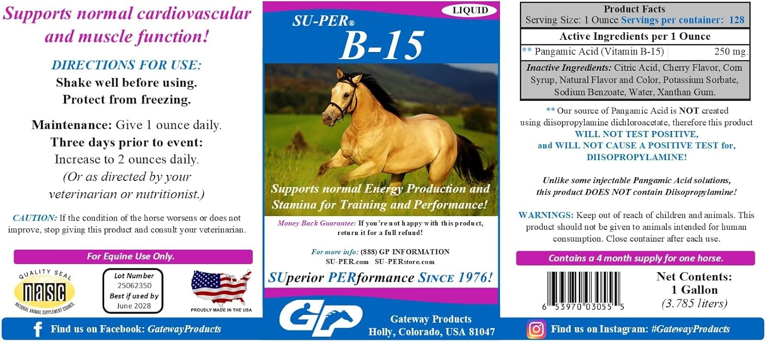 SU-PER B-15 Vitamin Supplement for Horses - Equine Vitamin B-15 Liquid for Performance Support - Supports Normal Cardiovascular Immune & Muscle Function - 1 Gallon, 4 Month Supply (120 Days)