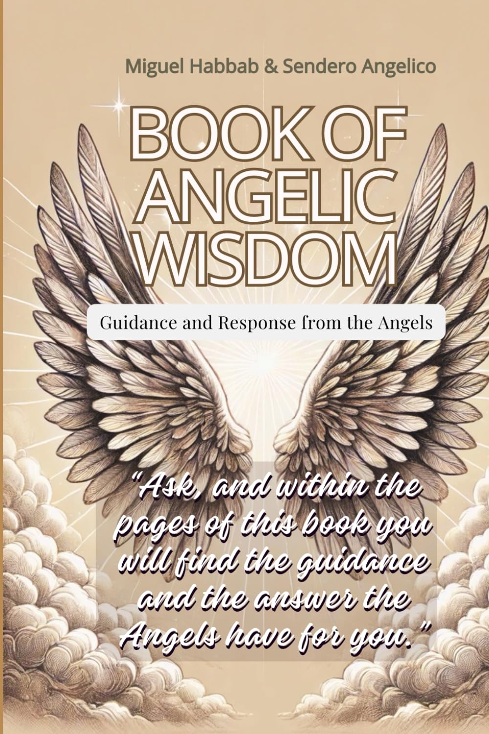Book of Angelic Wisdom: Guidance and Response from the Angels