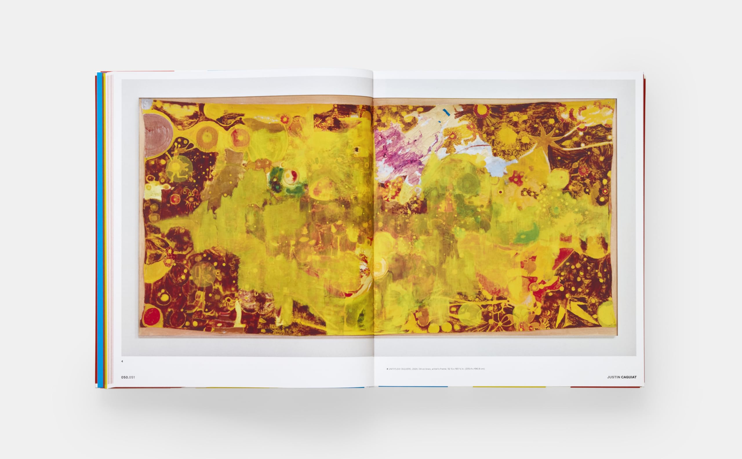Vitamin P4: New Perspectives in Painting (ART)
