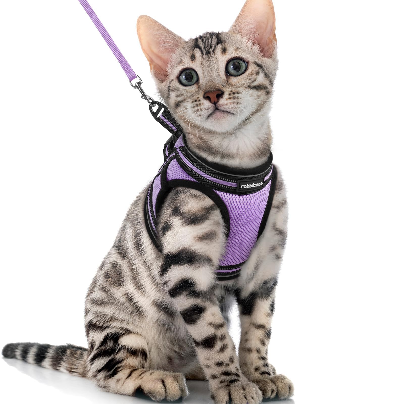rabbitgoo Cat Harness and Leash Set for Walking Escape Proof, Adjustable Soft Kittens Vest with Reflective Strip for Cats, Comfortable Outdoor Vest, Black, Small — view 44