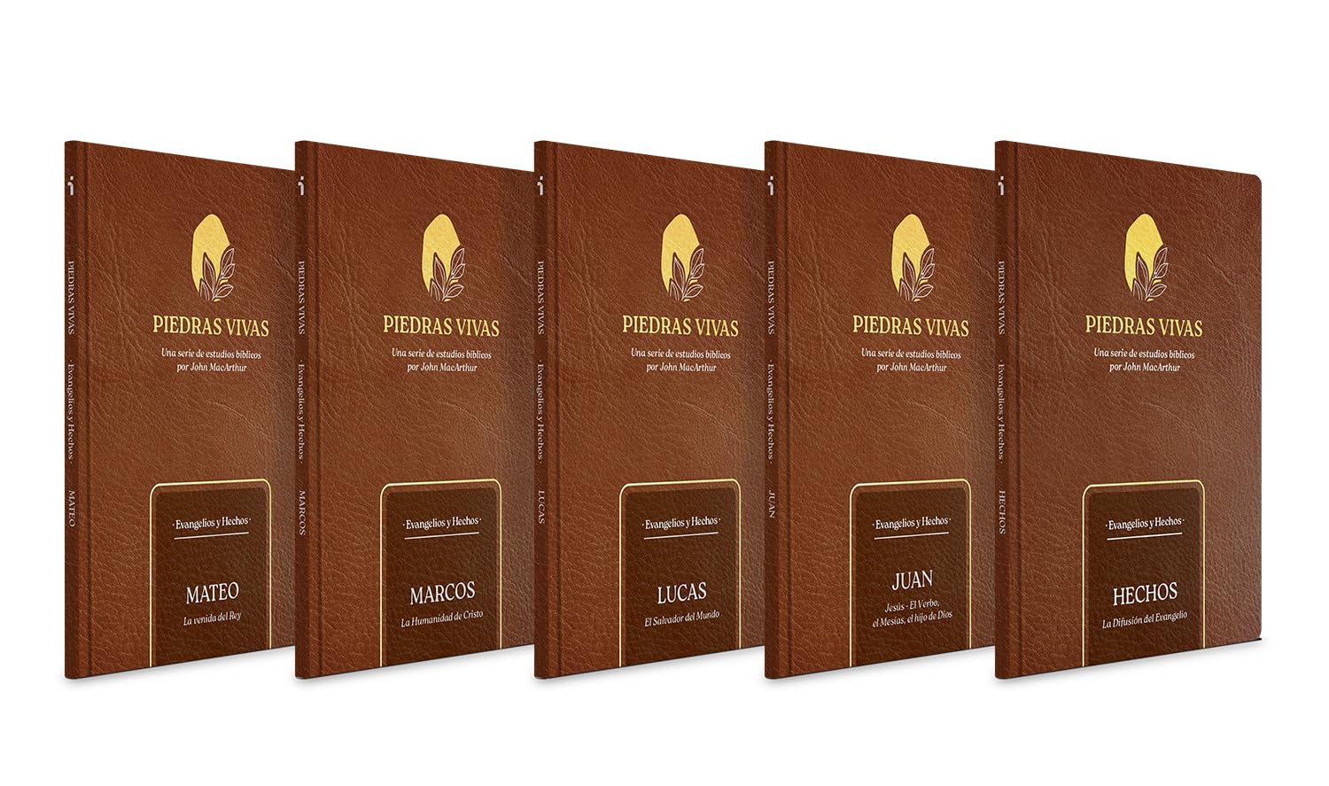 Piedras vivas: Evangelios y Hechos - La serie completa (Spanish Edition)