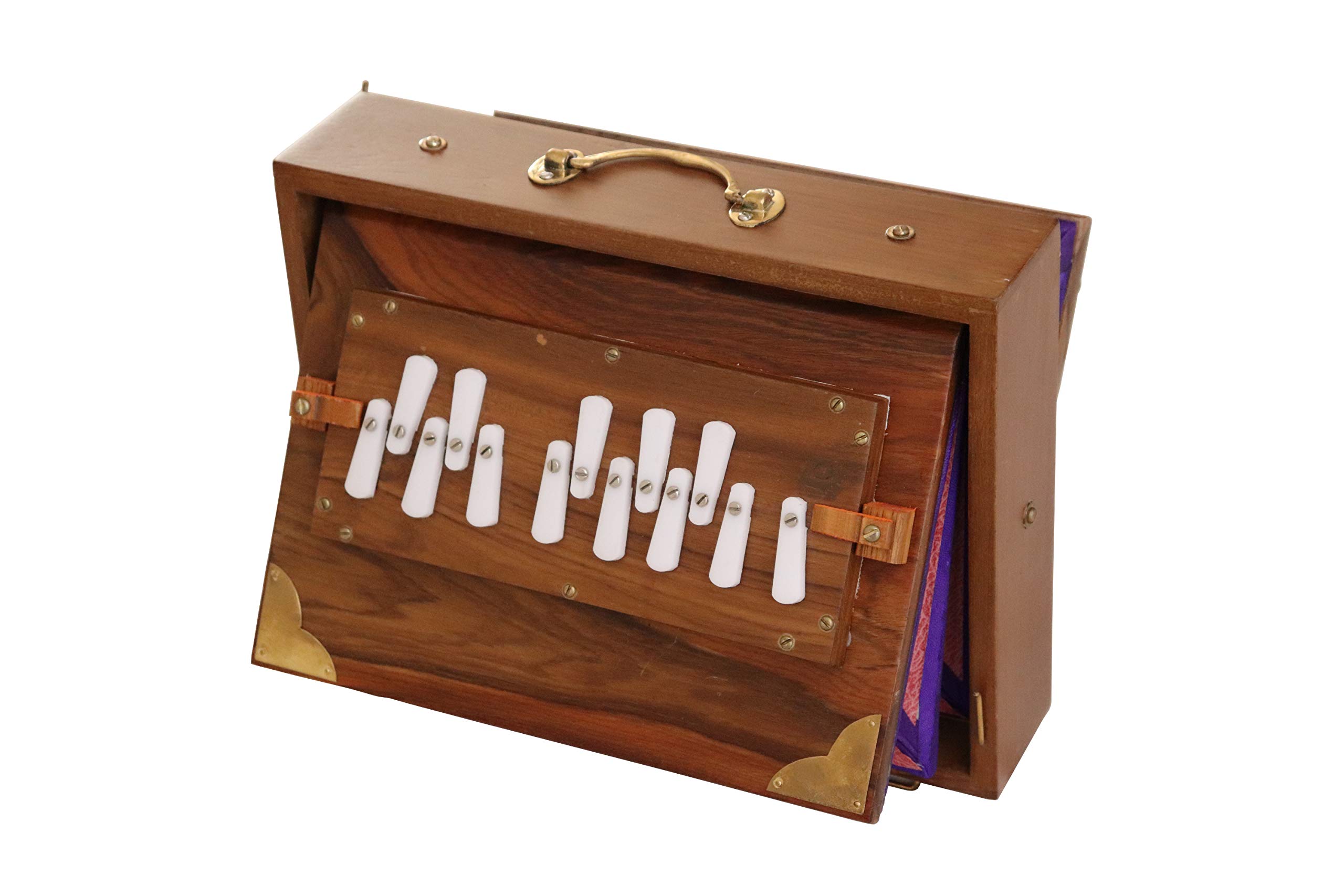 Shruti Box Raga Mini Professionnel en Teck - Gamme de Do à Do (3 à 4), 30 x 22 x 8,5 cm, 2 kg, Accordage 440 Hz
