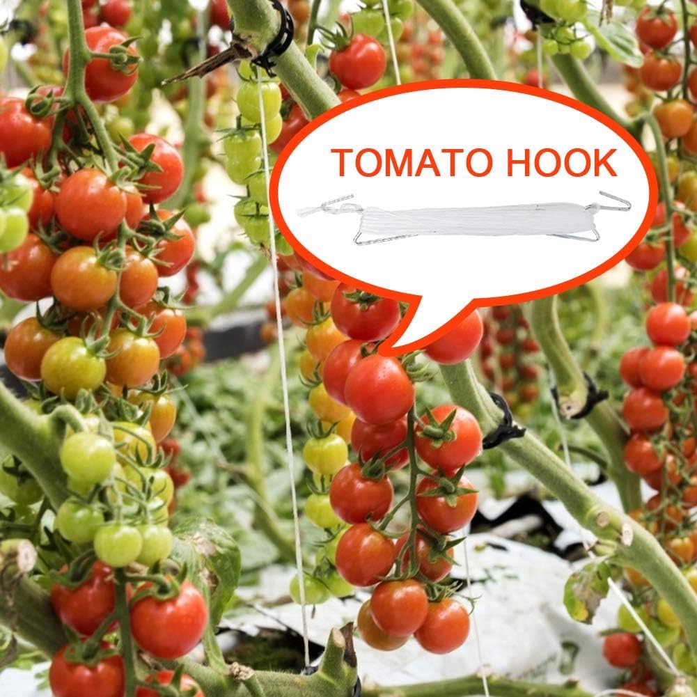 DAMEING Plant Climbing Hooks, Tomato Support J Hook Garden Hooks to Prevent Tomatoes from Pinching or Falling Off (10Pcs)