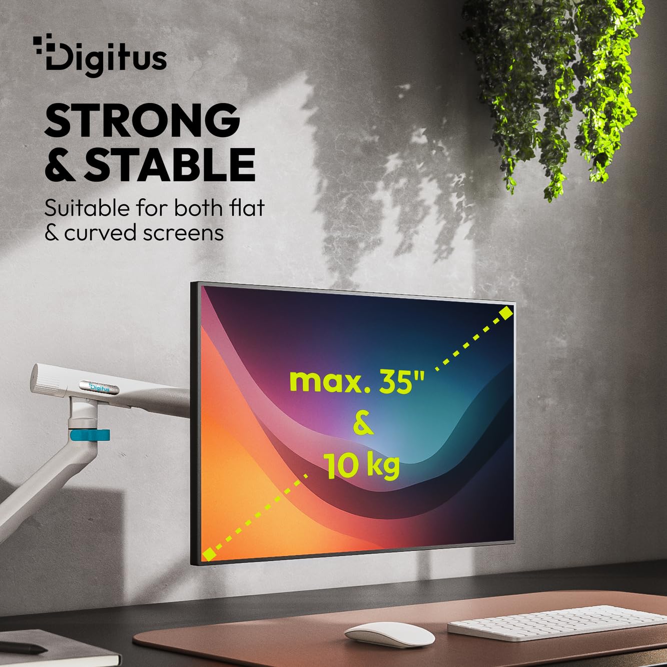 DIGITUS Supporto per monitor – un monitor – fino a 35 pollici – molla meccanica – carico massimo 10 kg – per schermi piatti e curvi – VESA 75x75, 100x100 – morsetto da tavolo – serie Design – bianco