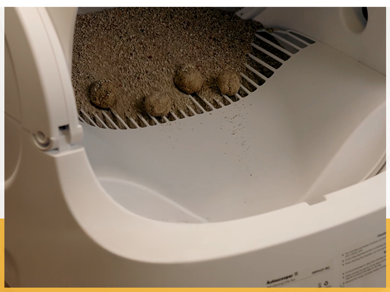 Amazon | PetPivot 自動猫トイレ｜9.3L大容量・32dB静音設計｜オープン