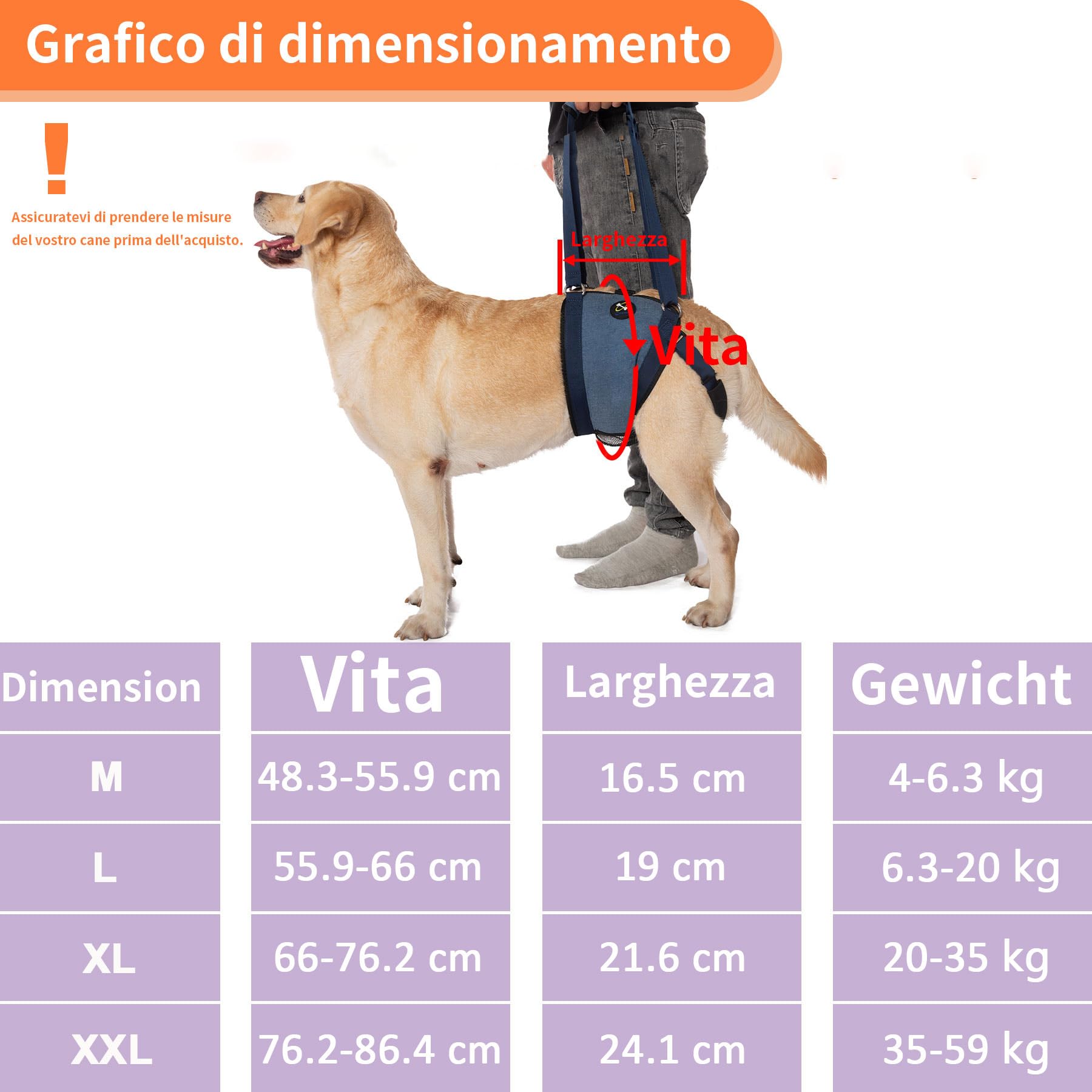 COODEO Pettorina per cani per cani, imbracatura per sollevamento cani per supporto per zampe posteriori, imbracatura per cani senior per gambe posteriori deboli dopo l'intervento chirurgico al(M)