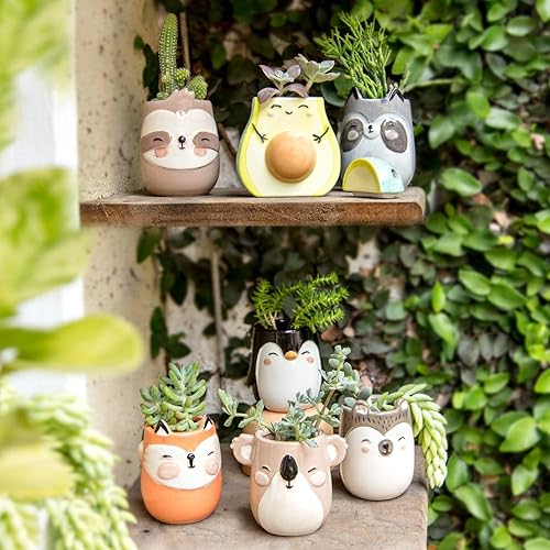 Miniatura 7 de Apa la Papa - Maceta de cerámica de cactus verde sonriente - 35 x 37 x 43 pulgadas - Jardineras de cerámica exclusivas para interiores y exteriores