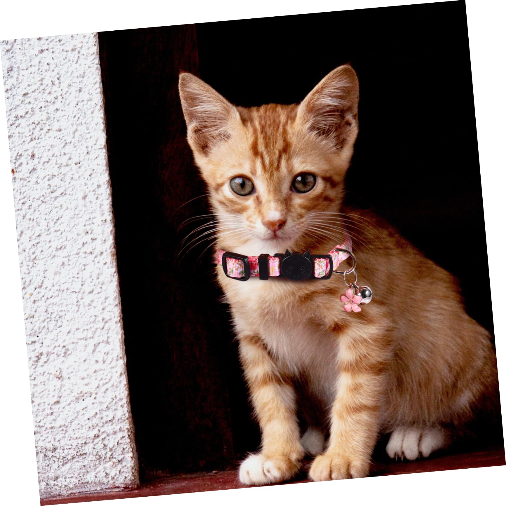 Toddmomy 12 Piezas Collar de Gato Lazos para Mascotas Collar de Mascota Perro a Necklace es Floral para Mascotas de Campana para Gatito Cuello Cuerda Nylon