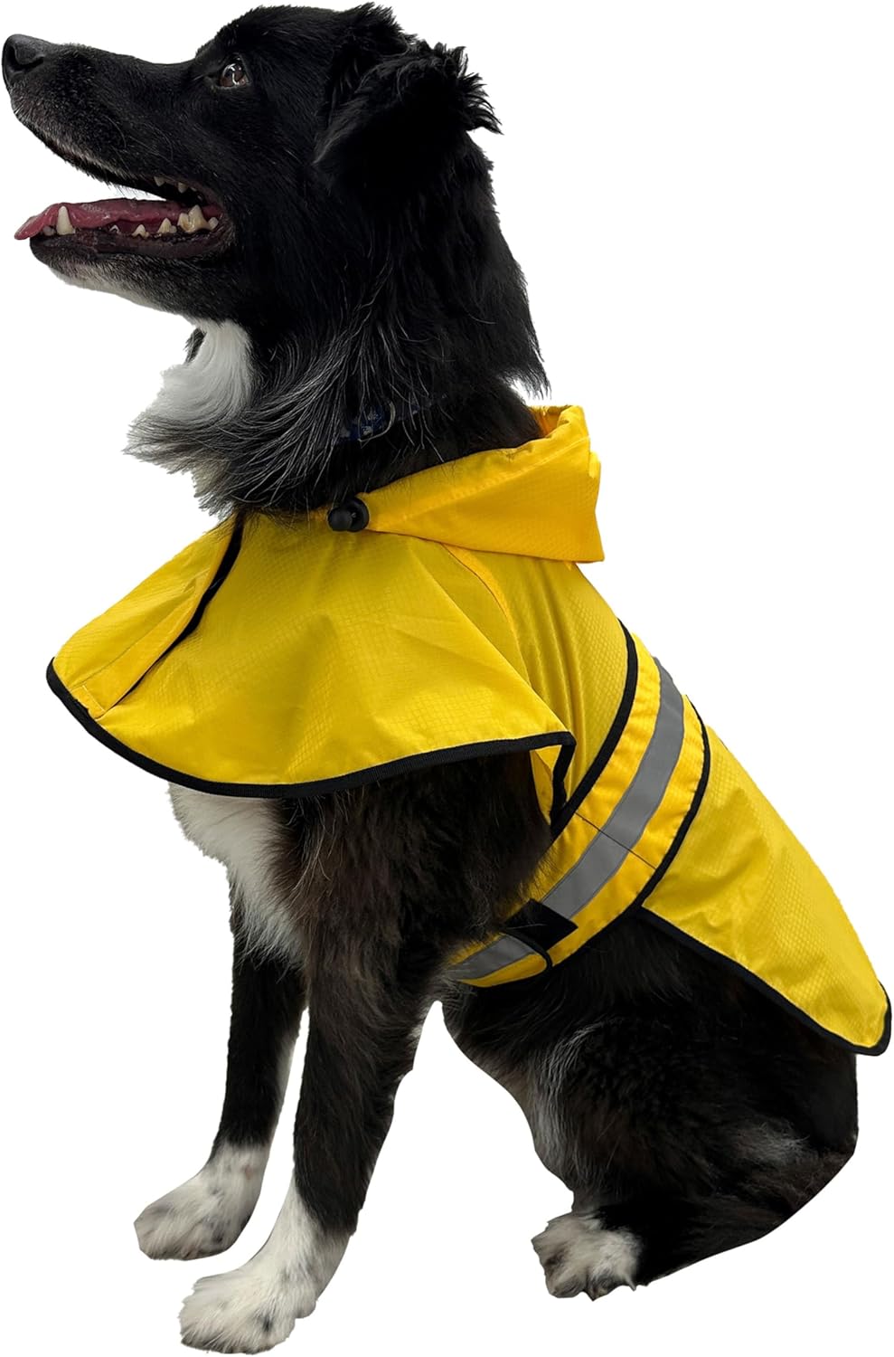 FROGG TOGGS Dogg Toggs Raincoat, Yellow, Size LG
