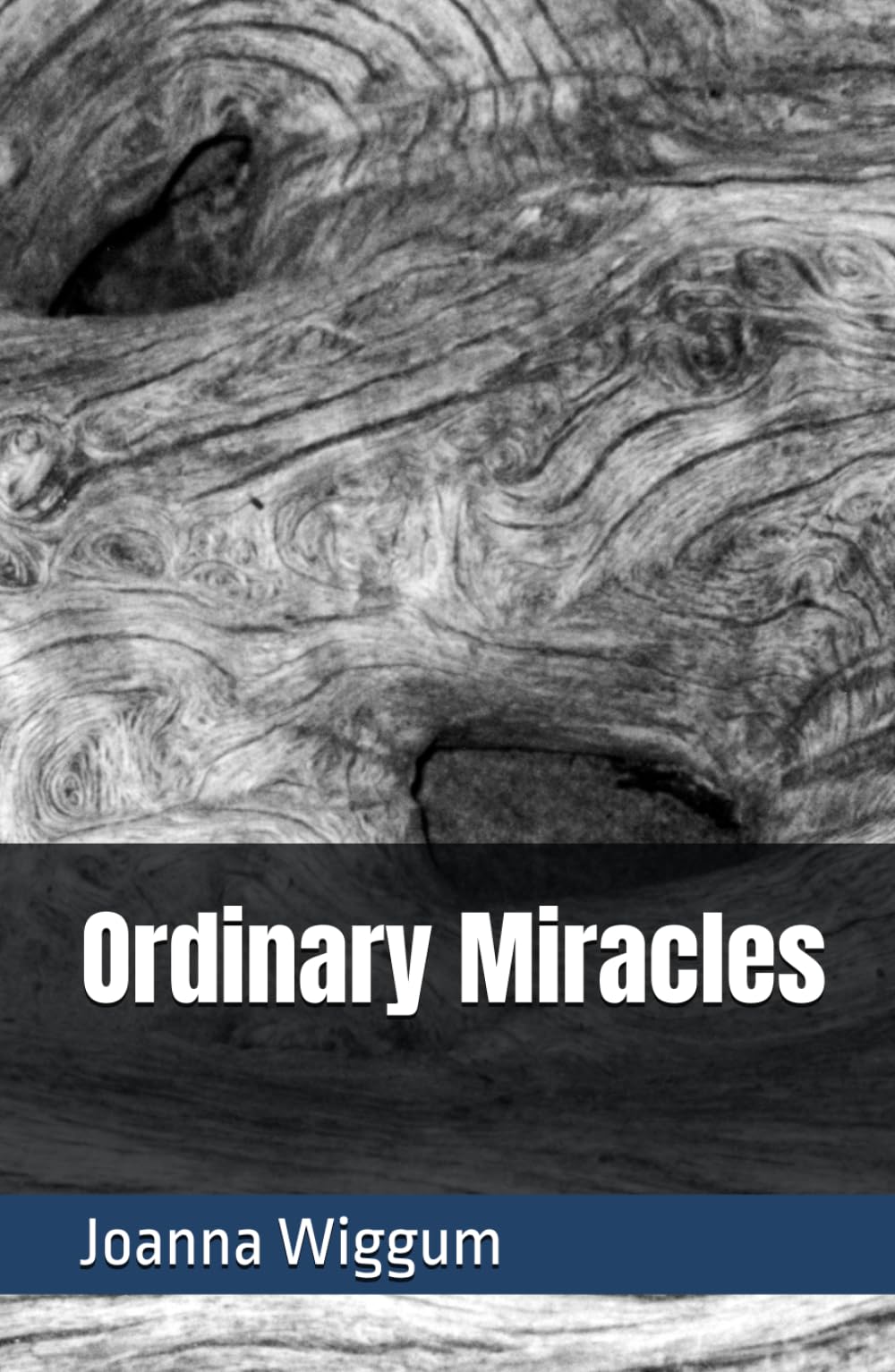Ordinary Miracles