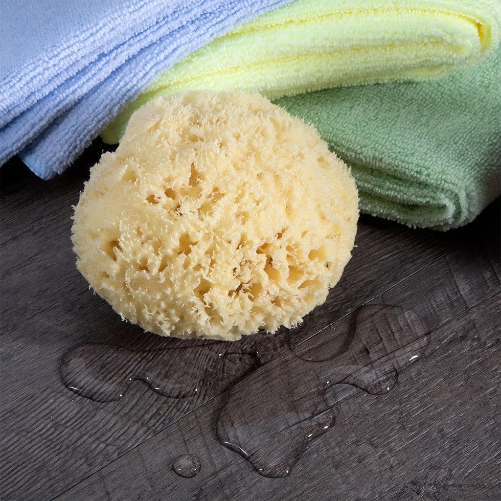 Sea Wool Sponge - All Natural Honeycomb Renewable Sea Sponge, Medium - 4 inches