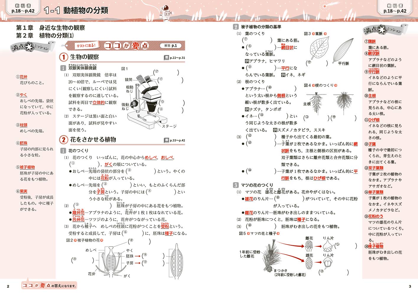 中間 期末の攻略本 理科 1年 学校図書版 5分間攻略ブックと赤シート付き 文理 編集部