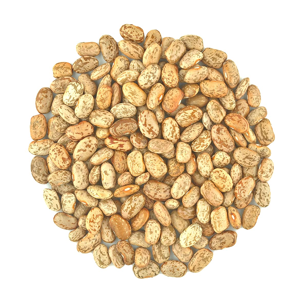 Organic dried whole Pinto Beans Fresh, Frijoles Pinto, Raw non-GMO Vegan Bulk (10LB)
