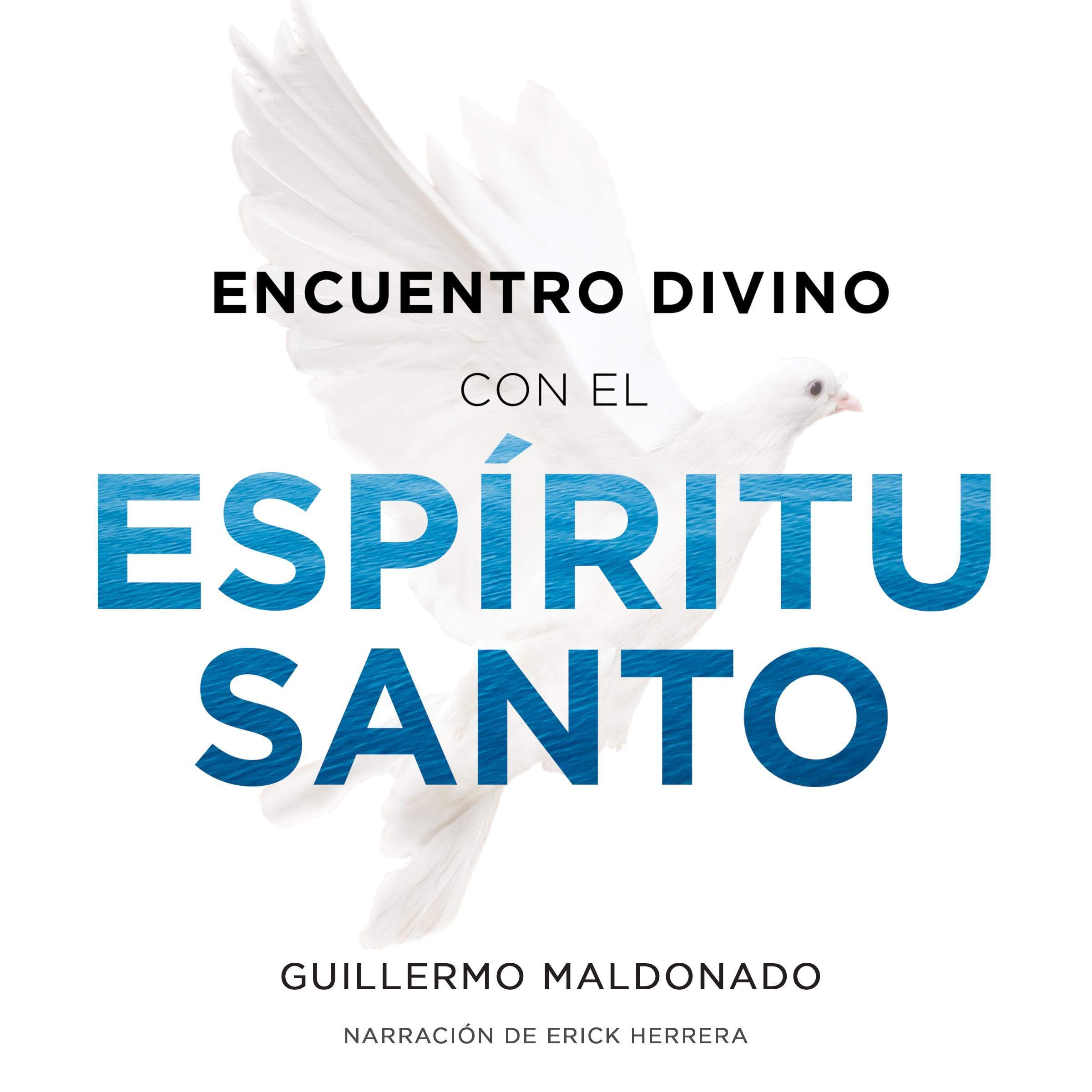 Encuentro Divino con el Espíritu Santo [Divine Encounter with the Holy Spirit]