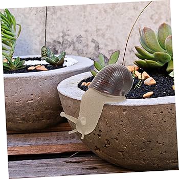 ロシア 赤の広場 オルゴール ミニチュア装飾品 インテリア 美品 高級感 いいね Amazon.co.jp: COHEALI 装飾品 home decor couple snail タニシ