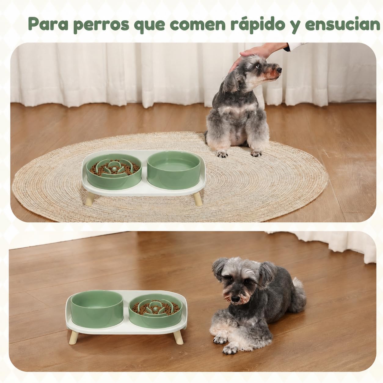 Cuencos elevados de alimentación lenta para perros, juego de cuencos de cerámica para alimentos y agua con soporte, platos elevados para mascotas para perros pequeños y medianos