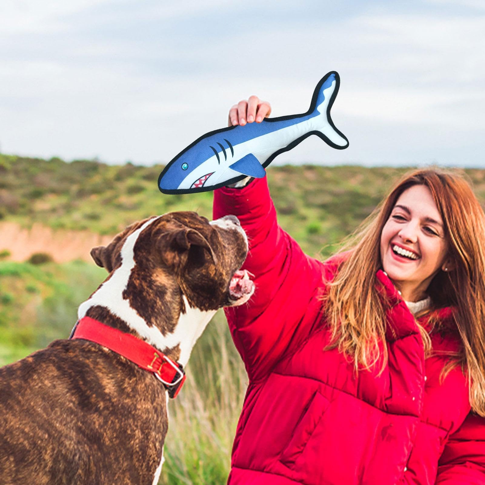 Giocattolo per cani con squittio, giocattolo per la pulizia e l'addestramento dei denti, giocattolo per la pulizia e l'addestramento dei denti a forma di squalo, giocattolo per dentizione per animali