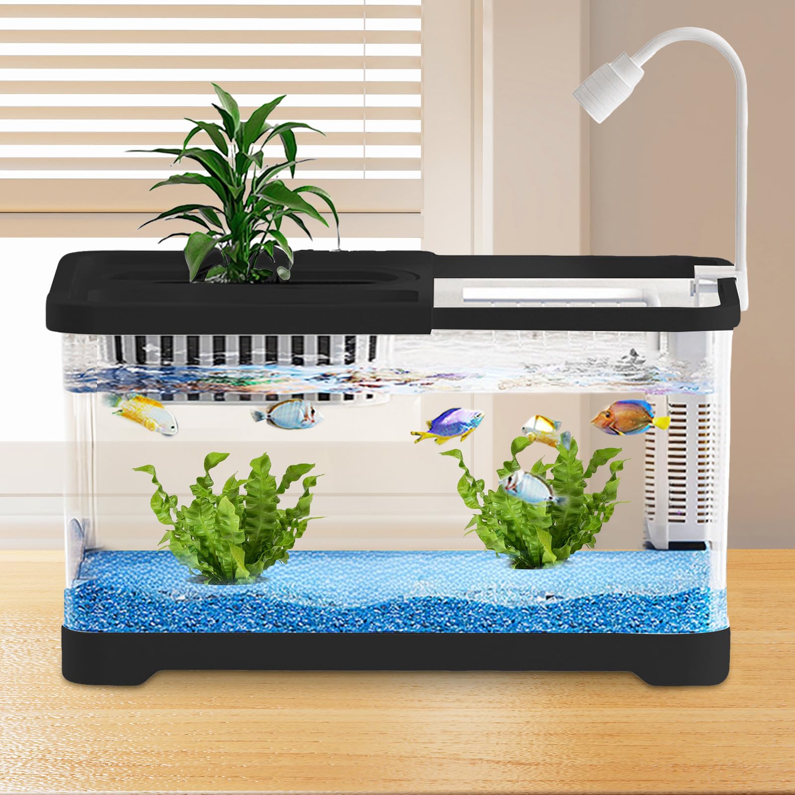 Aquariums pour Betta, Kit Aquarium Paysagé pour Combattants, Crevettes et, Bocaux Paysage Nourrisseur Clairs pour Guppy Crevettes Escargots Débutants Amoureux des Animaux De Compagnie Bureau Appartem