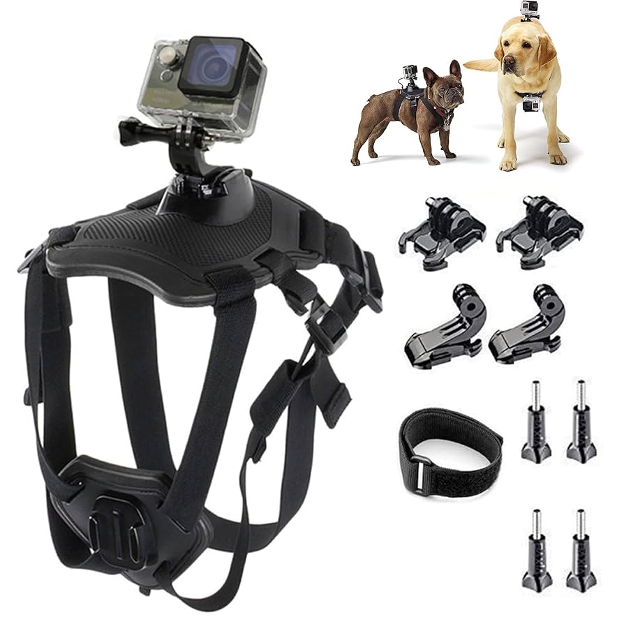 GoPro - わんたん Amazon.co.jp: ペットドッグベルト ペット GOPROカメラ用