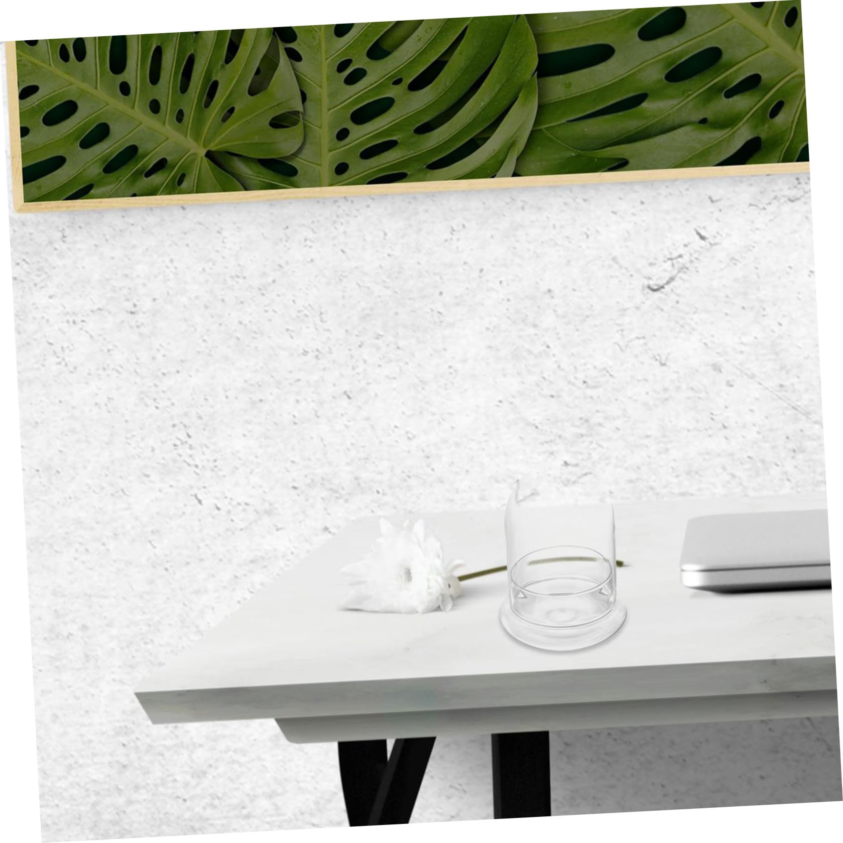 ERINGOGO Mini Bottiglia Da Giardino Per Micro Paesaggi in Vetro Trasparente 12x16cm, Contenitore Semplice Ecologico Stabile e Adatto Per Casa, Hotel e Ristoranti