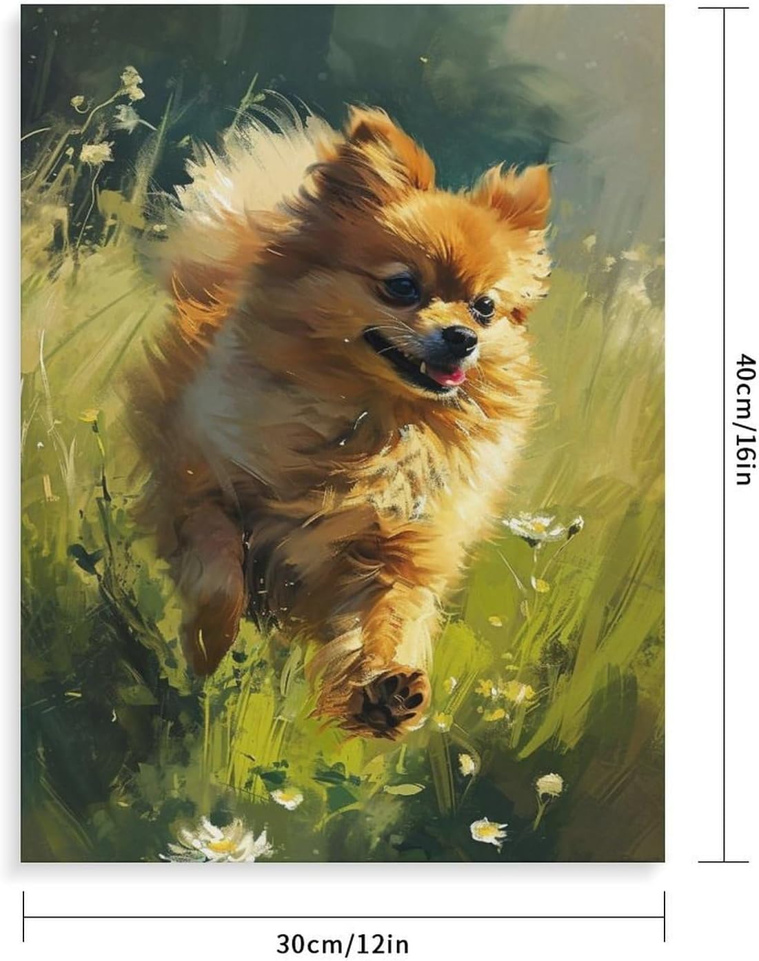 Pomeranian Dog Running Through Flowers Paint by Number, Adult Paint by Number Kits, Painting Kits for Adults Digital Oil Painting Gift and Home Wall Decor 12 * 16inch (30 * 40CM