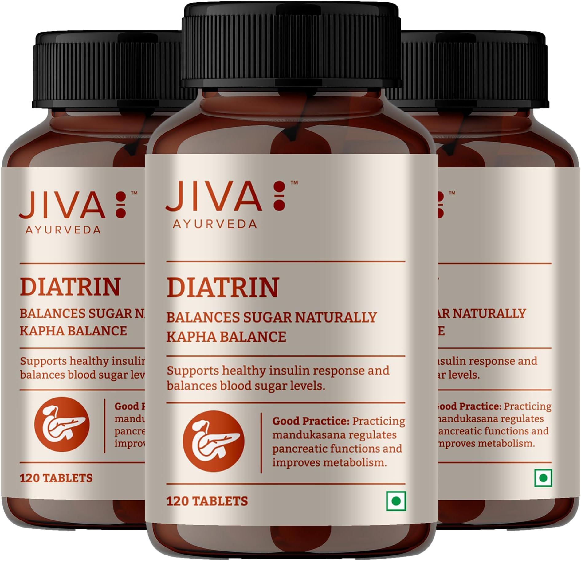 Jiva Diatrin Tablets 500mg | 100% Ayurvedic Formulation | Manages Blood Sugar Levels, Improves Metabolism & Strengthens the Pancreas | Balances Tri-Dosha- 120 Tablets (Pack of 3)