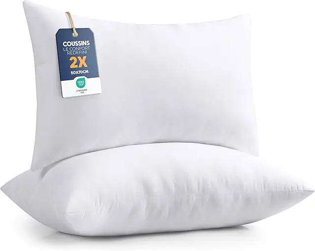 Coussins de Garnissage 50x70 cm Lot de 2 - Oreillers Intérieurs Blancs