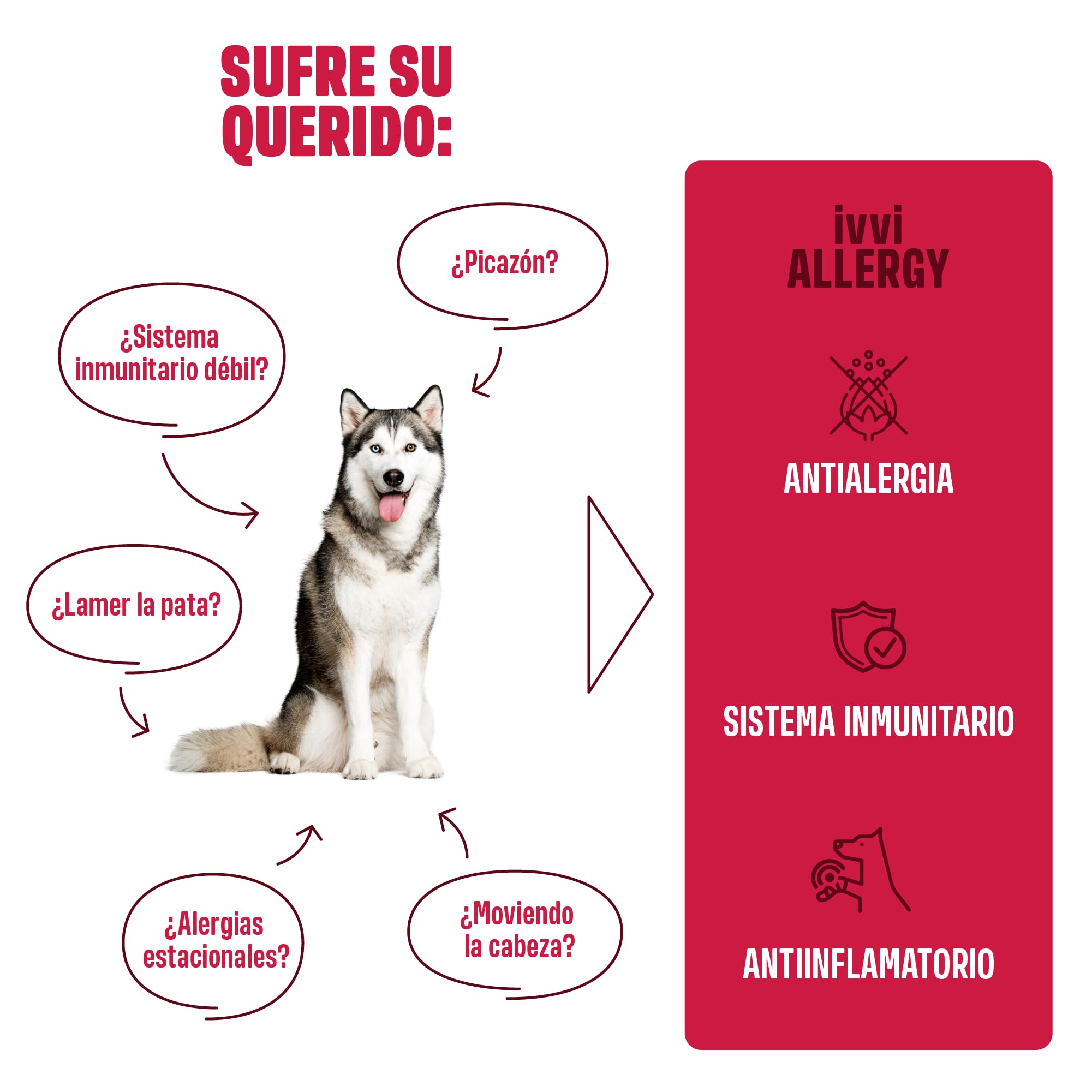 ivvi Allergy para Perros contra alergias y picazón para un Sistema inmunológico Saludable - con calostro, Equinácea Purpúrea, raíz de Taiga y Aceite de borraja - 60 Snacks (270g) con Sabor a salmón
