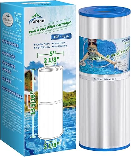 TOREAD Repuesto para filtro de spa PRB25-IN, Unicel C-4326, Filbur FC-2375, FC-2370, R173429, 3005845, 17-2327, 100586, 33521, 25392, 817-2500,